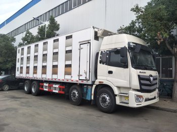 福田歐曼前四後八9.6米畜禽運輸車